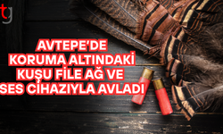 Avtepe’de koruma altındaki kuşu yasak yöntemle avladı