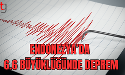 Endonezya'da 6,6 büyüklüğünde deprem oldu