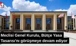 Meclisi Genel Kurulu, Bütçe Yasa Tasarısı'nı görüşmeye devam ediyor