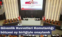 Güvenlik Kuvvetleri Komutanlığı bütçesi oy birliğiyle onaylandı