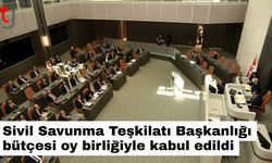 Sivil Savunma Teşkilatı Başkanlığı bütçesi oy birliğiyle kabul edildi