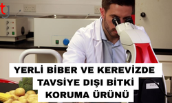 Yerli biber ve kerevizde tavsiye dışı bitki koruma ürünü