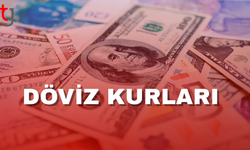 Döviz kurları