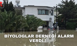 Biyologlar Derneği Alarm Verdi!