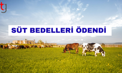 Süt bedelleri ödendi