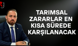 Çavuş: Tarımsal zararları en kısa sürede karşılayacağız