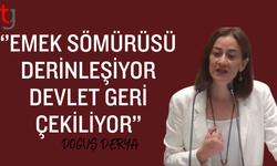 Derya:Sosyal devlet geri çekiliyor, bedeli kadınlar ödüyor