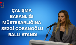 MÜSTEŞAR TAHİR SERHAT GÖREVDEN ALINDI