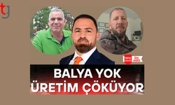Balya krizi büyüyor, üretici çıkmaza sürükleniyor