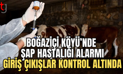 Boğaziçi Köyü’nde şap hastalığına karşı önlemler artırıldı