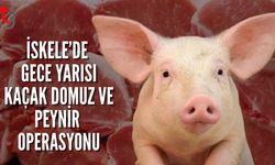 İskele’de araçta kaçak domuz eti ve peynir ele geçirildi