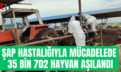 Şap hastalığına karşı aşılama çalışmaları ülke genelinde genişletildi