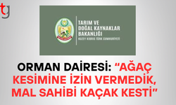 ORMAN DAİRESİ: “AĞAÇ KESİMİNE İZİN VERMEDİK, MAL SAHİBİ KAÇAK KESTİ”