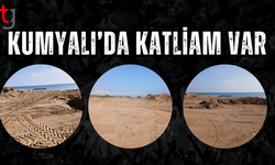 Kumyalı’da doğa katliamı: Bu sessizlik suç ortaklığıdır