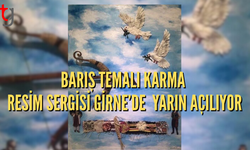 Barış temalı karma resim sergisi yarın kapılarını açıyor