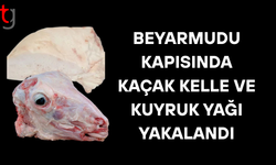 Beyarmudu kapısında kaçak kelle ve kuyruk yağı yakalandı