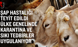 Şap hastalığı teyit edildi;Sıkı tedbirler devrede