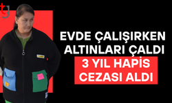 İzinsiz ikamet ve müstahdem tarafından sirkat suçlarından 3 yıl hapis