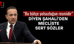 Şahali’den Berova’nın bütçe sunumuna “yapay zeka ürünü” eleştirisi