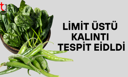 3 biber ve 1 ıspanak numunesinde Tarım Bakanlığı limit üstü kalıntı tespit etti