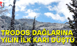 Trodos'lara yılın ilk karı düştü