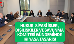 Hukuk, siyasi işler, dışilişkiler ve savunma komitesi iki yasa çalışmasını ele aldı