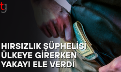 Çatalköy’deki hırsızlık olayında aranan isim tutuklandı