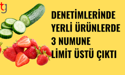 Haftalık gıda denetim sonuçları açıklandı