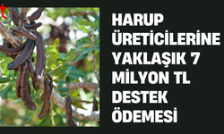 2025 yılı harup ürününe destek ödemesi yapıldı