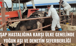 Şap hastalığına karşı ülke genelinde sıkı takip ve önlem süreci