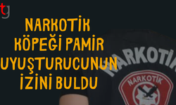 Ercan’da dedektör köpeği Pamir sigaralarda uy*şturucu buldu