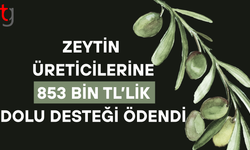 Zeytin üreticilerine ilk kez dolu tazminatı ödendi