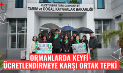 Ormanlarda keyfi ücretlendirmeye karşı ortak çağrı
