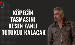 Serhatköy’de kasti hasar ve bıçak olayı