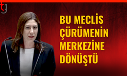 Sıla Usar İncirli hükümete yüklendi: “Bu Meclis bilerek çalıştırılmıyor”