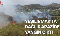 Yeşilırmak’ta dağlık alanda yangın çıktı