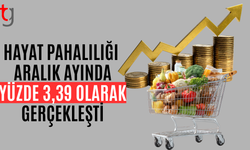 Aralık ayı hayat pahalılığı yüzde 3,39