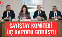 Sayıştay Komitesi üç raporu görüştü