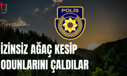 İzinsiz ağaçları kestiler, odunları da alıp götürdüler