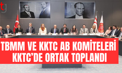 TBMM ve KKTC AB uyum komiteleri KKTC’de ortak toplandı