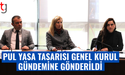 Cumhuriyet Meclisi komitesi pul yasa tasarısını onayladı