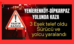 Yenierenköy-Dipkarpaz yolunda hür eşek kazası