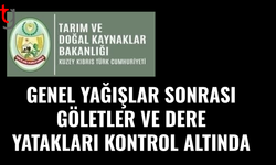 Yağışlar sonrası göletler ve dere yataklarında inceleme yapıldı