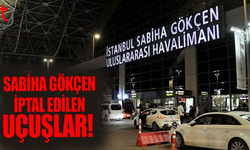 Hava ulaşımına kar engeli