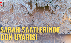 Yarın ve cuma don bekleniyor