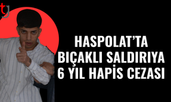 Güvenlik görevlisine ağır yaralamadan 6 yıl hapis