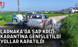 Güneyde şap alarmı: Larnaka karantina altında