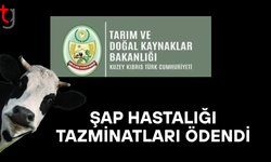 Üreticilere şap tazminat ödemeleri yapıldı