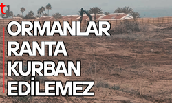 İskele’de orman arazisi tartışması büyüyor