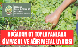 Yabani ot toplayanlara ilaç uyarısı